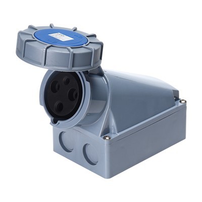 125A Wall Mounted Socket